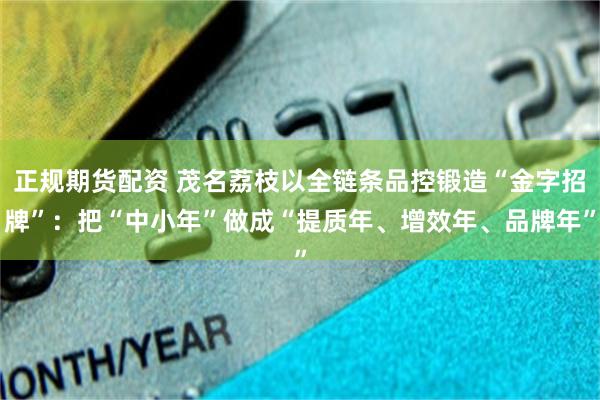 正规期货配资 茂名荔枝以全链条品控锻造“金字招牌”:把“中小年”做成“提质年、增效年、品牌年”