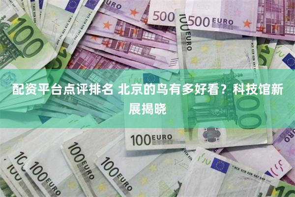 配资平台点评排名 北京的鸟有多好看？科技馆新展揭晓