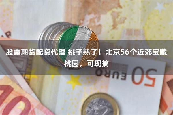 股票期货配资代理 桃子熟了！北京56个近郊宝藏桃园，可现摘