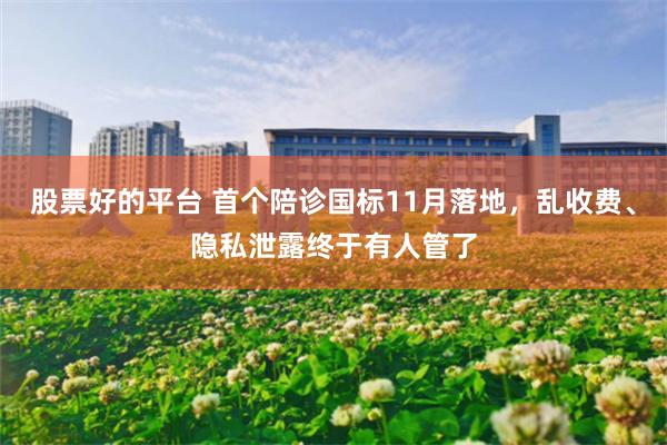 股票好的平台 首个陪诊国标11月落地，乱收费、隐私泄露终于有人管了
