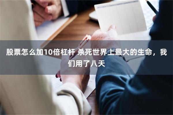 股票怎么加10倍杠杆 杀死世界上最大的生命，我们用了八天