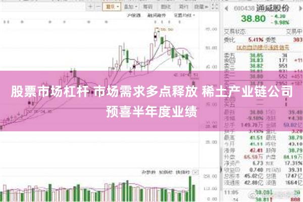 股票市场杠杆 市场需求多点释放 稀土产业链公司预喜半年度业绩
