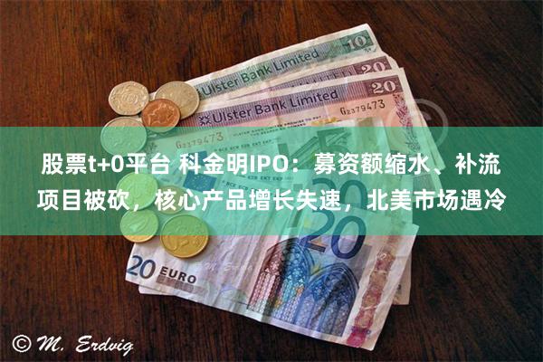 股票t+0平台 科金明IPO：募资额缩水、补流项目被砍，核心产品增长失速，北美市场遇冷