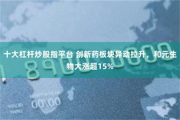 十大杠杆炒股指平台 创新药板块异动拉升，和元生物大涨超15%