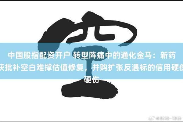 中国股指配资开户 转型阵痛中的通化金马:新药获批补空白难撑估值修复,并购扩张反遇标的信用硬伤