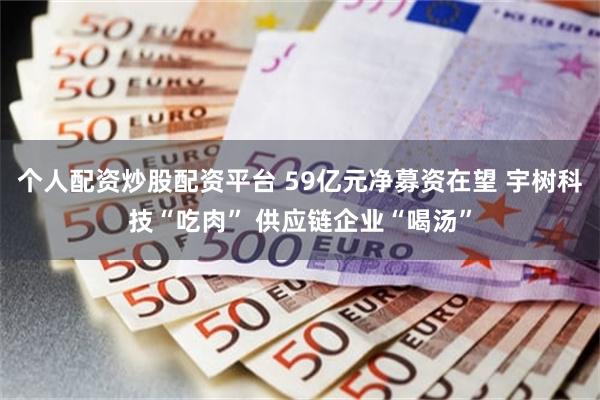 个人配资炒股配资平台 59亿元净募资在望 宇树科技“吃肉” 供应链企业“喝汤”