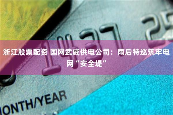 浙江股票配资 国网武威供电公司：雨后特巡筑牢电网“安全堤”