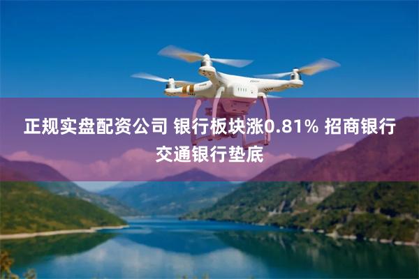 正规实盘配资公司 银行板块涨0.81% 招商银行交通银行垫底