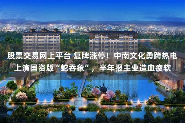 股票交易网上平台 复牌涨停！中南文化勇跨热电上演国资版“蛇吞象”，半年报主业造血疲软