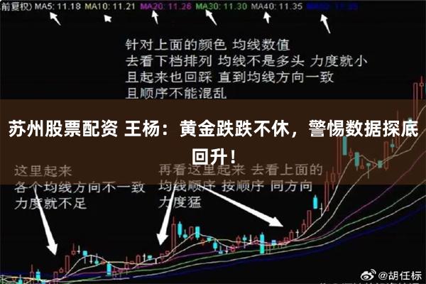 苏州股票配资 王杨：黄金跌跌不休，警惕数据探底回升！