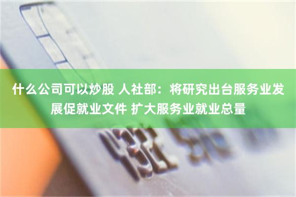 什么公司可以炒股 人社部：将研究出台服务业发展促就业文件 扩大服务业就业总量
